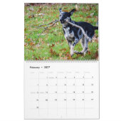 2020 Violetville Petカレンダー～ Zoomies Edition カレンダー (2月 2027)