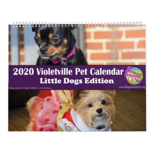 2020 Violetville Pet Calendar - Small Dogs Edition カレンダー