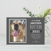 2021おもしろい年ペット写真グレー犬の骨がさびる シーズンカード (スタンド正面)