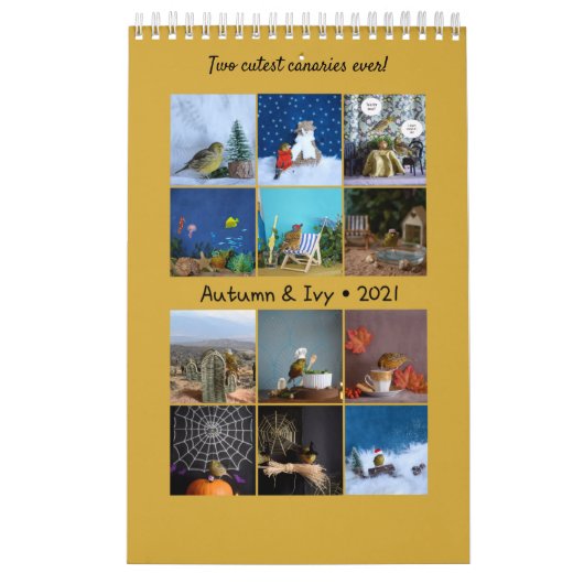 2021ウォールカレンダーかわいい鳥ペットカナリア カレンダー (カバー)