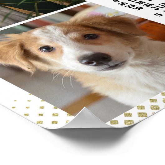 2021カレンダー赤面ピンク金ゴールドファミリーフォトコラージュ ポスター (角)