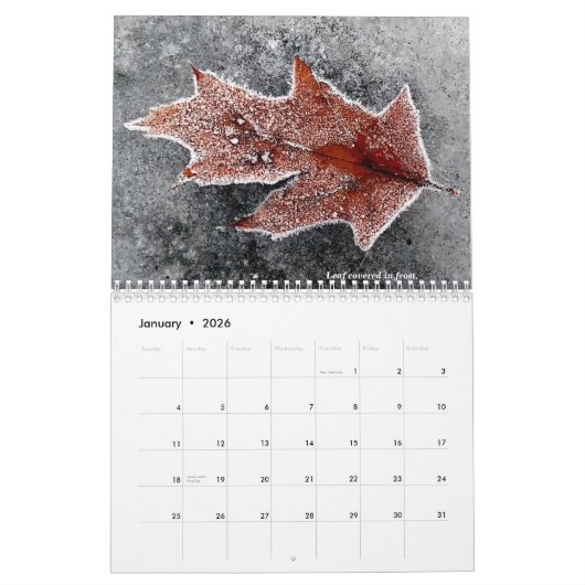 2021カレンダー カレンダー (1月 2026)