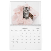 2021キャットニップかわいこちゃん猫と子猫 カレンダー (2月 2027)