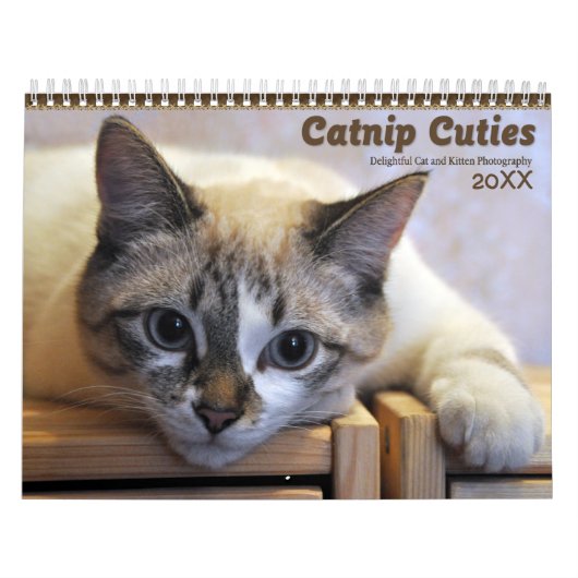 2021キャットニップかわいこちゃん猫と子猫 カレンダー (カバー)