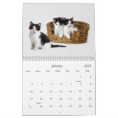 2021キャットニップかわいこちゃん猫と子猫 カレンダー (1月 2027)