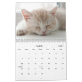 2021キャットニップかわいこちゃん猫と子猫 カレンダー (3月 2027)
