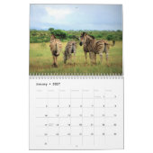 2021ゼブララブカレンダー カレンダー (1月 2027)