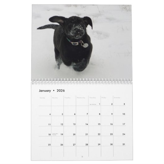 2021マスタドール子犬カレンダー カレンダー (1月 2026)