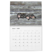 2021マスタドール子犬カレンダー カレンダー (3月 2027)