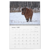2021写真ウマ科のカレンダー カレンダー (1月 2027)