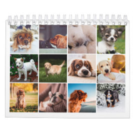 2021子犬ペットの写真 カレンダー
