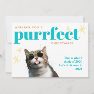 2021年おもしろいのクリスマスを超えて猫のお別れ2020 シーズンカード