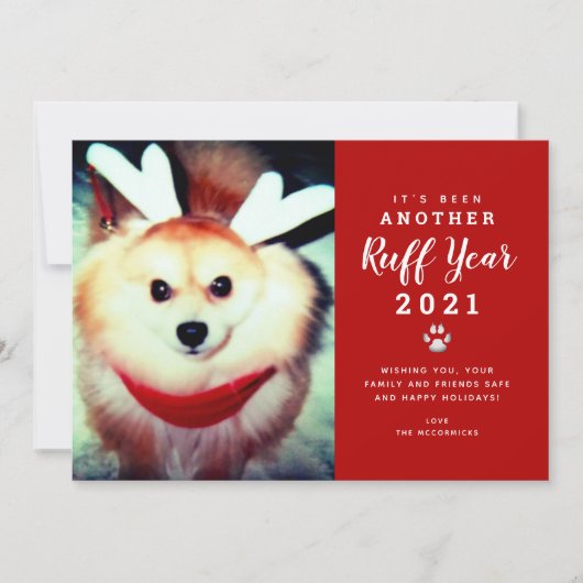 2021年おもしろいのクリスマス、赤い丸い赤い犬の写真 シーズンカード (正面)