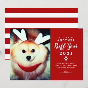 2021年おもしろいのクリスマス、赤い丸い赤い犬の写真 シーズンカード