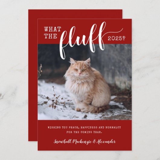 2021年ふわふわペッおもしろいトの猫写真 シーズンカード (正面/裏面)