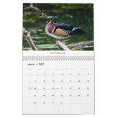 2021年カレンダーの太平洋岸北西部の鳥 カレンダー (3月 2027)