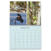 2021年カレンダー「Birds Of Boston」 カレンダー (2月 2026)