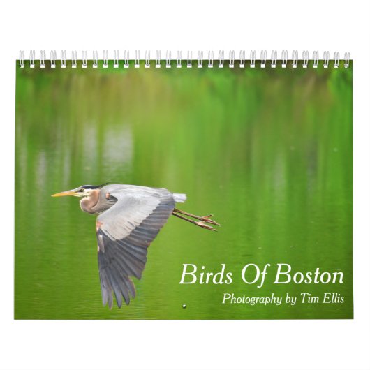 2021年カレンダー「Birds Of Boston」 カレンダー (カバー)