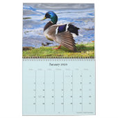 2021年カレンダー「Birds Of Boston」 カレンダー (1月 2026)