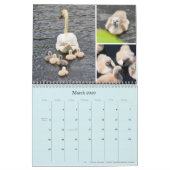 2021年カレンダー「Birds Of Boston」 カレンダー (3月 2026)