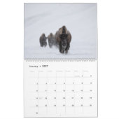 2021年モンタナとイエローストーンNPの写真カレンダー カレンダー (1月 2027)