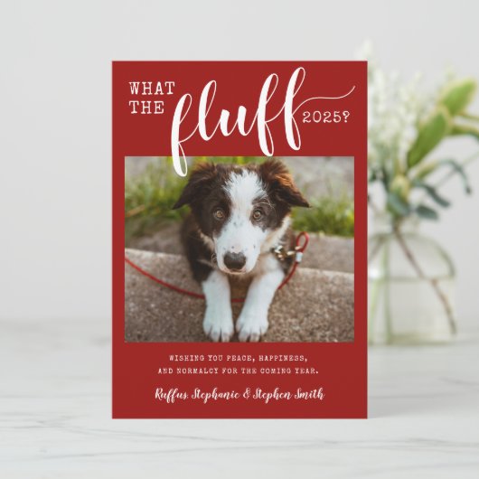 2021年ラフ・イヤーフ・おもしろい犬写真 シーズンカード (スタンド正面)