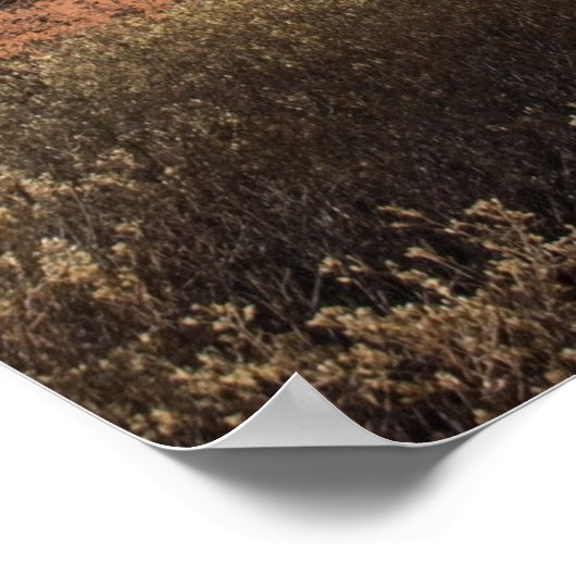 2021年冬のベルロック ポスター (角)