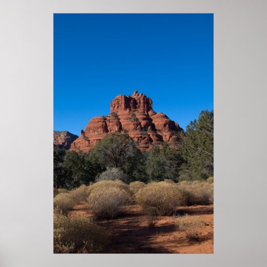 2021年冬のベルロック ポスター (正面)