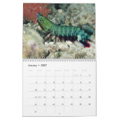 2021年海鮮魚・海洋生物カレンダー カレンダー (1月 2027)