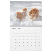 2021年: ParkerPup最高のの発表 カレンダー (1月 2027)