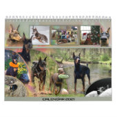 2021年Dobermantalkカレンダー カレンダー (カバー)