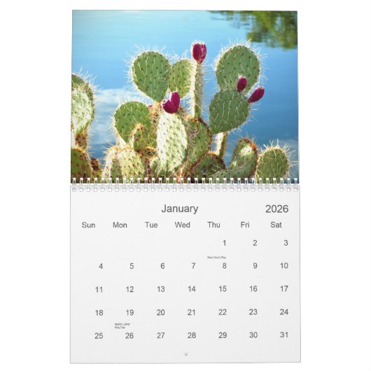 2021砂漠美しいカレンダー カレンダー (1月 2026)