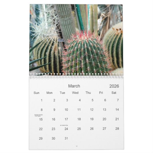 2021砂漠美しいカレンダー カレンダー (3月 2026)