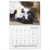 2021虎猫の場所カレンダー カレンダー (1月 2027)