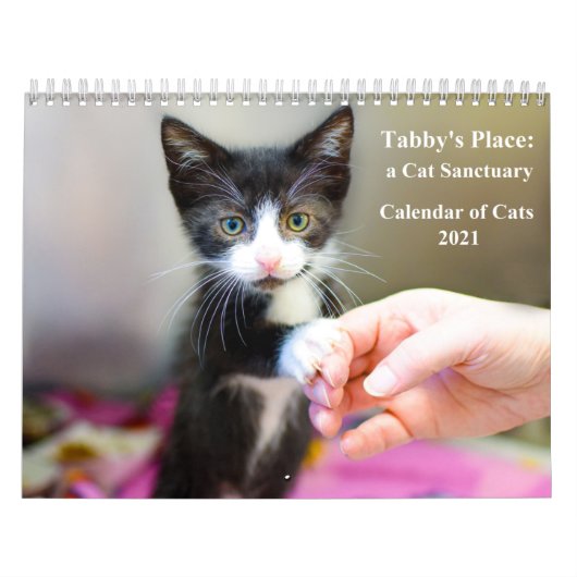 2021虎猫の場所カレンダー カレンダー (カバー)