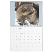 2021野生の青のアライグマ カレンダー (2月 2027)