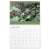 2021野生の青のアライグマ カレンダー (3月 2027)