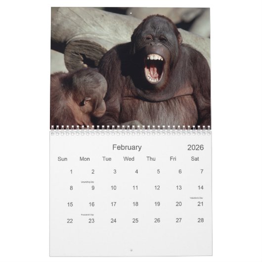 2021霊長類野生生物撮影カレンダー カレンダー (2月 2026)