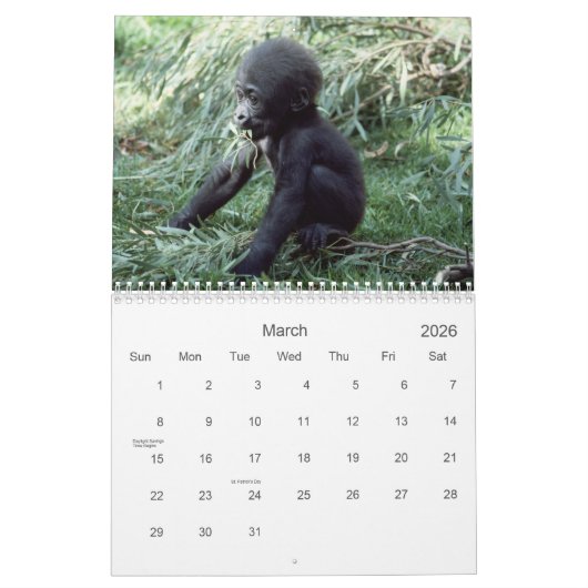 2021霊長類野生生物撮影カレンダー カレンダー (3月 2026)