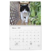 2021 Cat Wall Calendar, Life of Sly Pie カレンダー (2月 2027)