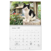 2021 Cat Wall Calendar, Life of Sly Pie カレンダー (1月 2027)