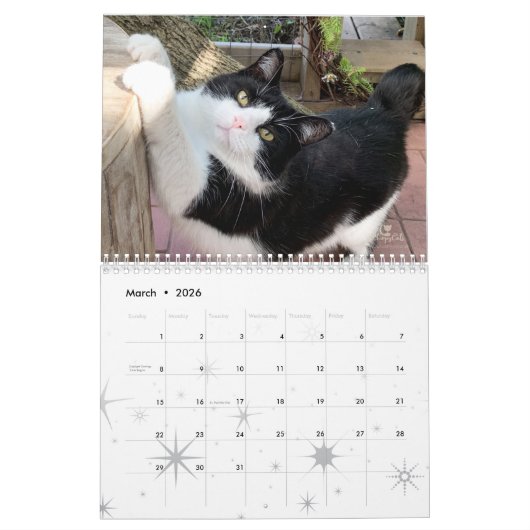 2021 Cat Wall Calendar, Life of Sly Pie カレンダー (3月 2026)