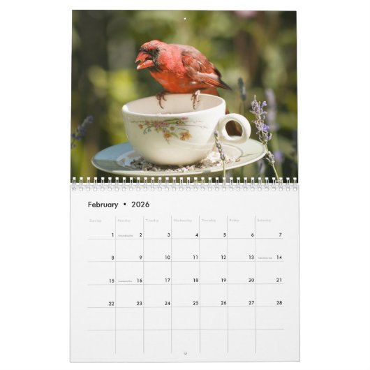 2021 For the Birds カレンダー (2月 2026)