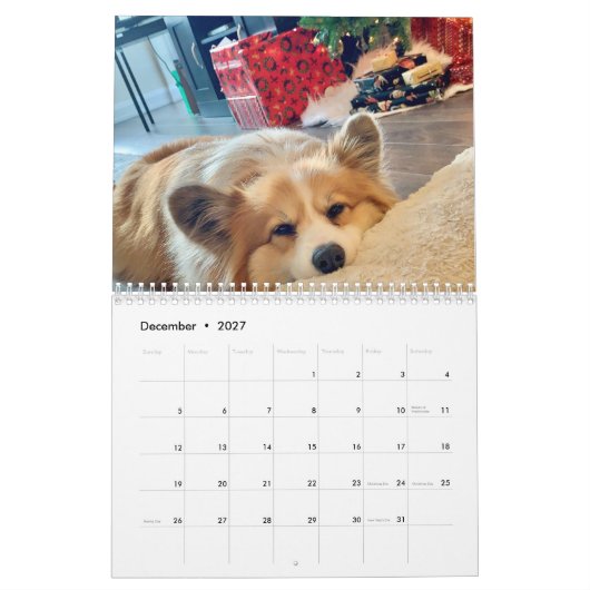 2021 Hudson the Fluffy Corgi Calendar カレンダー (12月 2027)