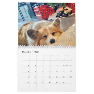 2021 Hudson the Fluffy Corgi Calendar カレンダー