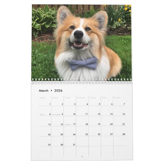 2021 Hudson the Fluffy Corgi Calendar カレンダー (3月 2026)