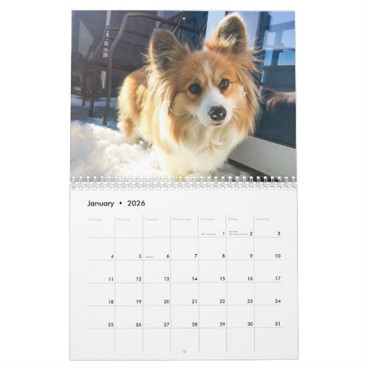 2021 Hudson the Fluffy Corgi Calendar カレンダー (1月 2026)