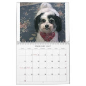 2021 K-Cee II Zuchon犬カレンダー カレンダー (2月 2027)