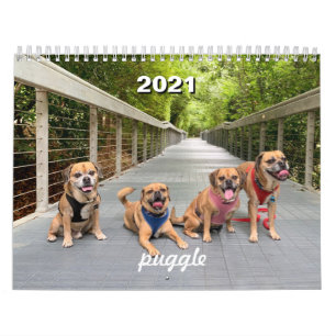 2021 Puggleカレンダー カレンダー