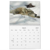 2021 Wolves 2 Wildlife Photography Calendar カレンダー (3月 2027)